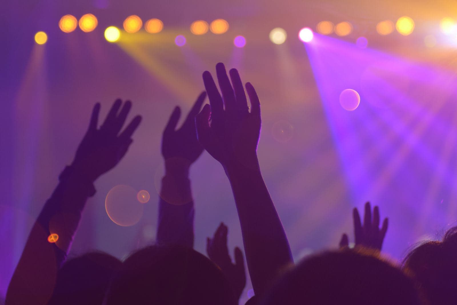 A crowd with raised hands under purple stage lights